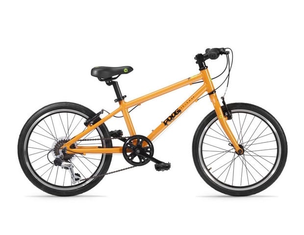 55 frog bike