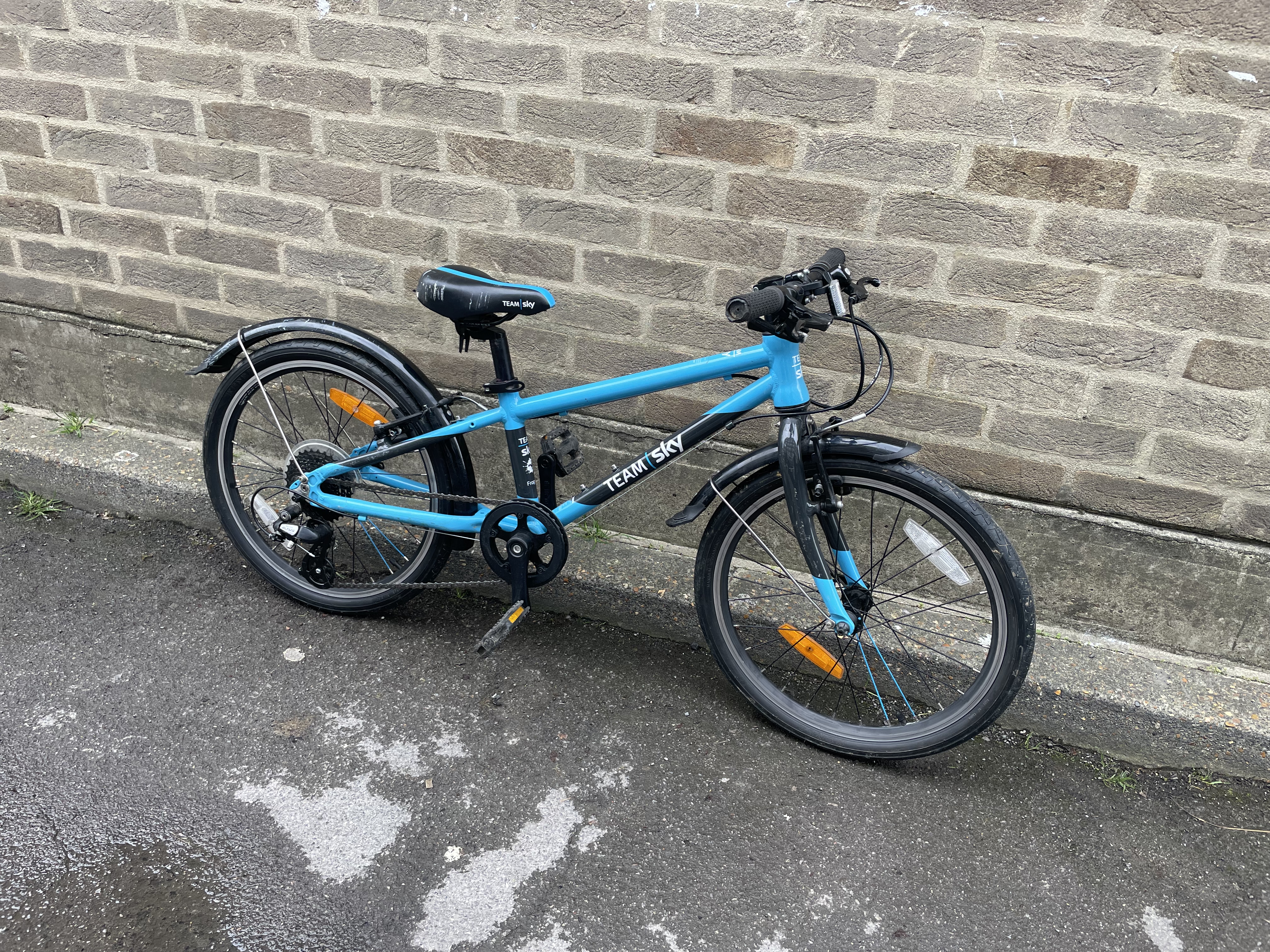 frog bike black