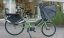 A green Bicicapace E Classicona bike