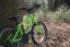 Green Frog 47 bike leaning against a tree