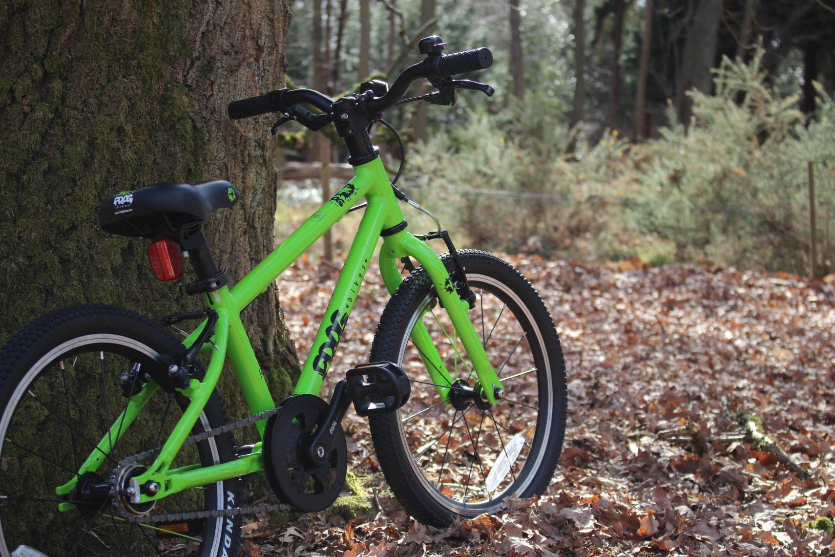 Green Frog 47 bike leaning against a tree