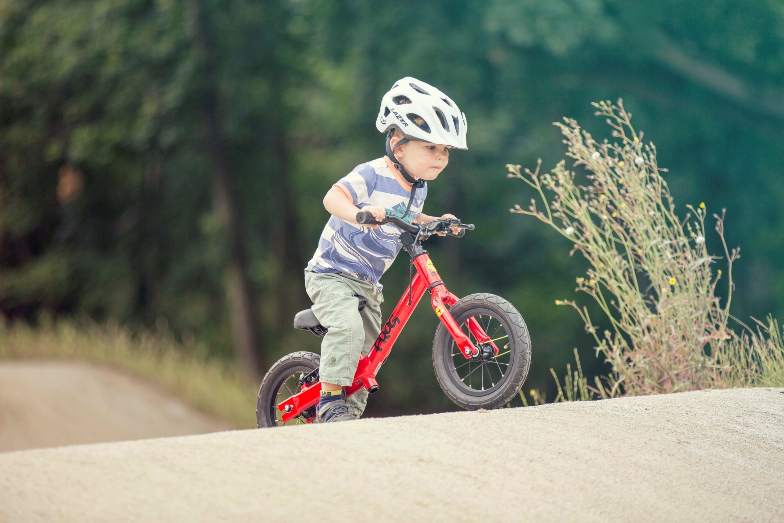 A child on a pumptrack with a red Frog Tadpole bike