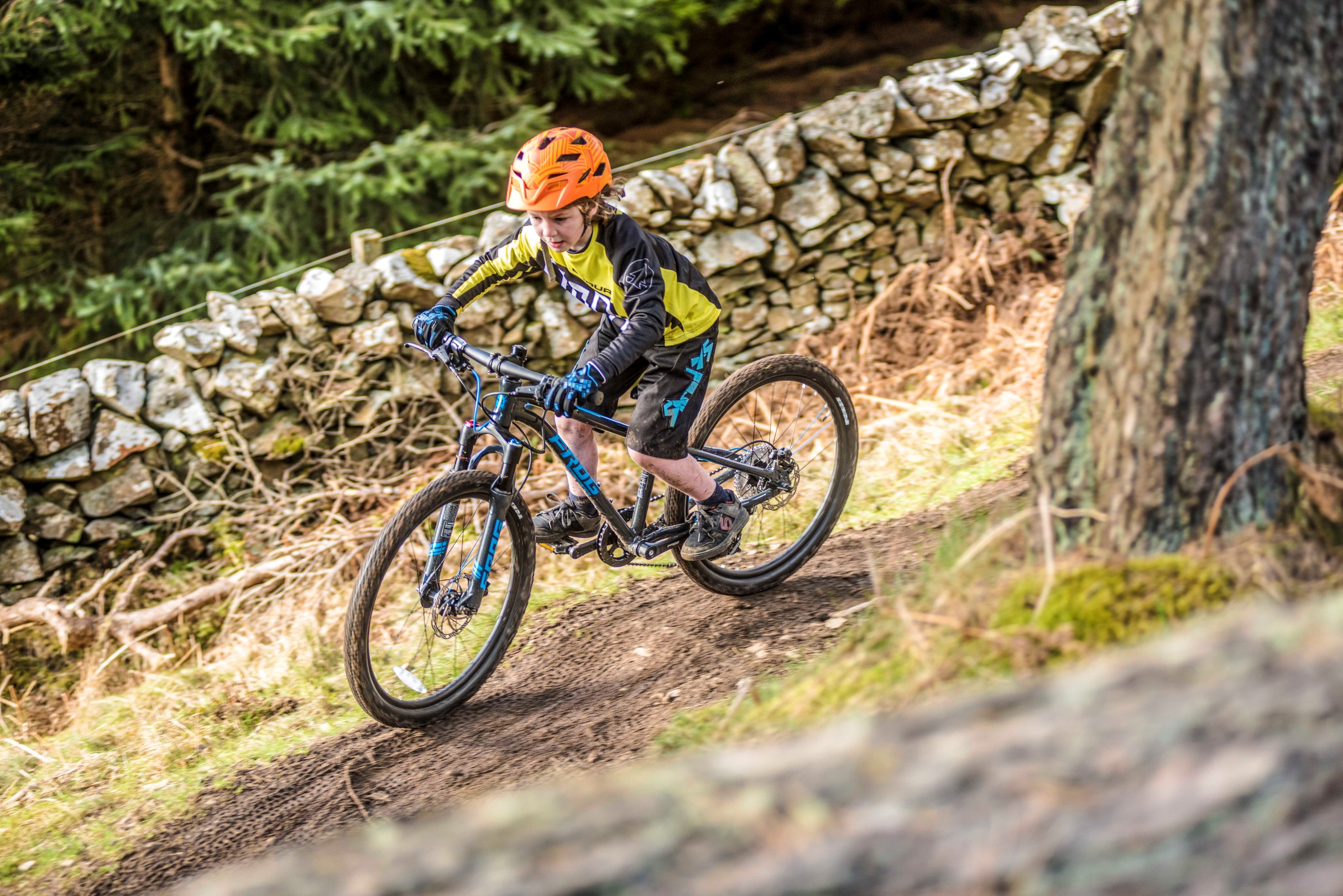 A kid riding on a trail on a Frog Mountain 62 bike