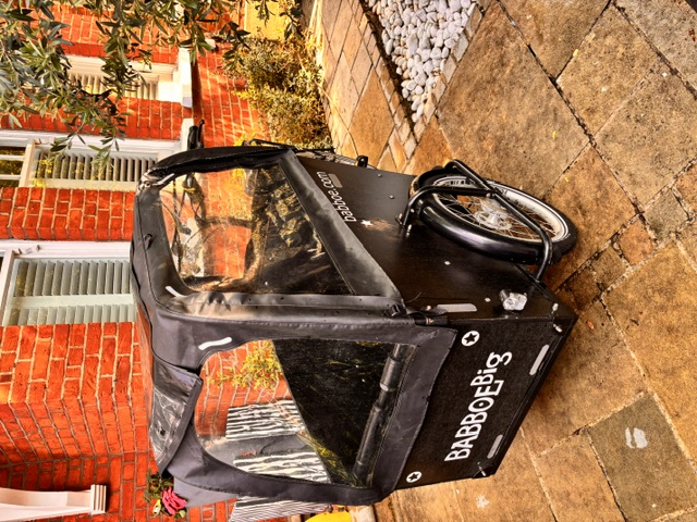 Babboe Big E, 1 owner, great condition, including lights, rain hood, brand new in box seat cushions, locks
